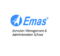 Евразийская школа менеджмента и администрирования (EMAS)